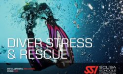 Curso stress and rescue